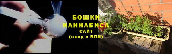 прущая мука Пересвет