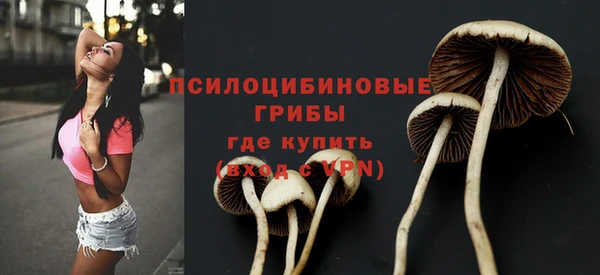 МДПВ Пестово