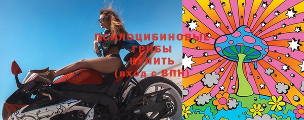 МДПВ Пестово