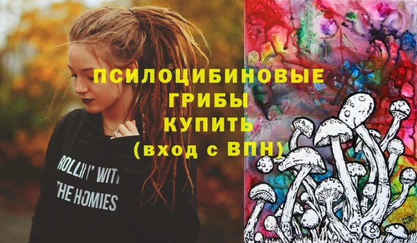 МДПВ Пестово