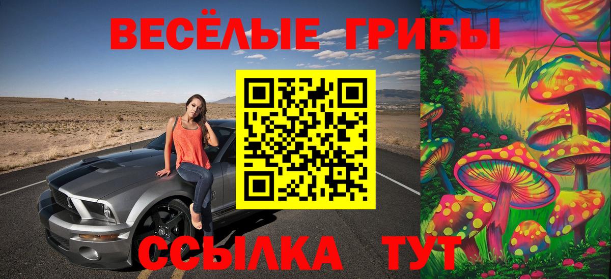 Галлюциногенные грибы прущие грибы Заволжье