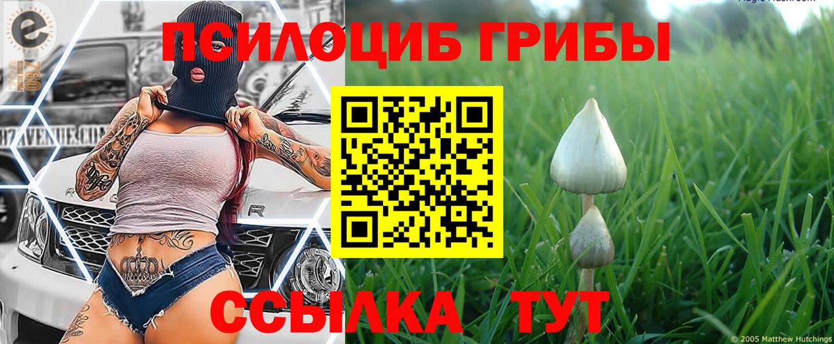 Псилоцибиновые грибы Cubensis  Галлюциногенные грибы Magic Shrooms  Вход с VPN  Заволжье 