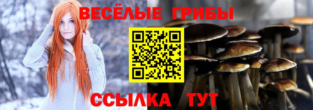 Галлюциногенные грибы мухоморы  Заволжье  Галлюциногенные грибы MAGIC MUSHROOMS 