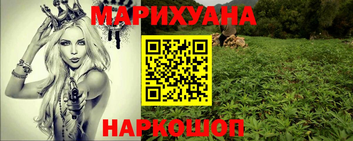Конопля сатива Заволжье